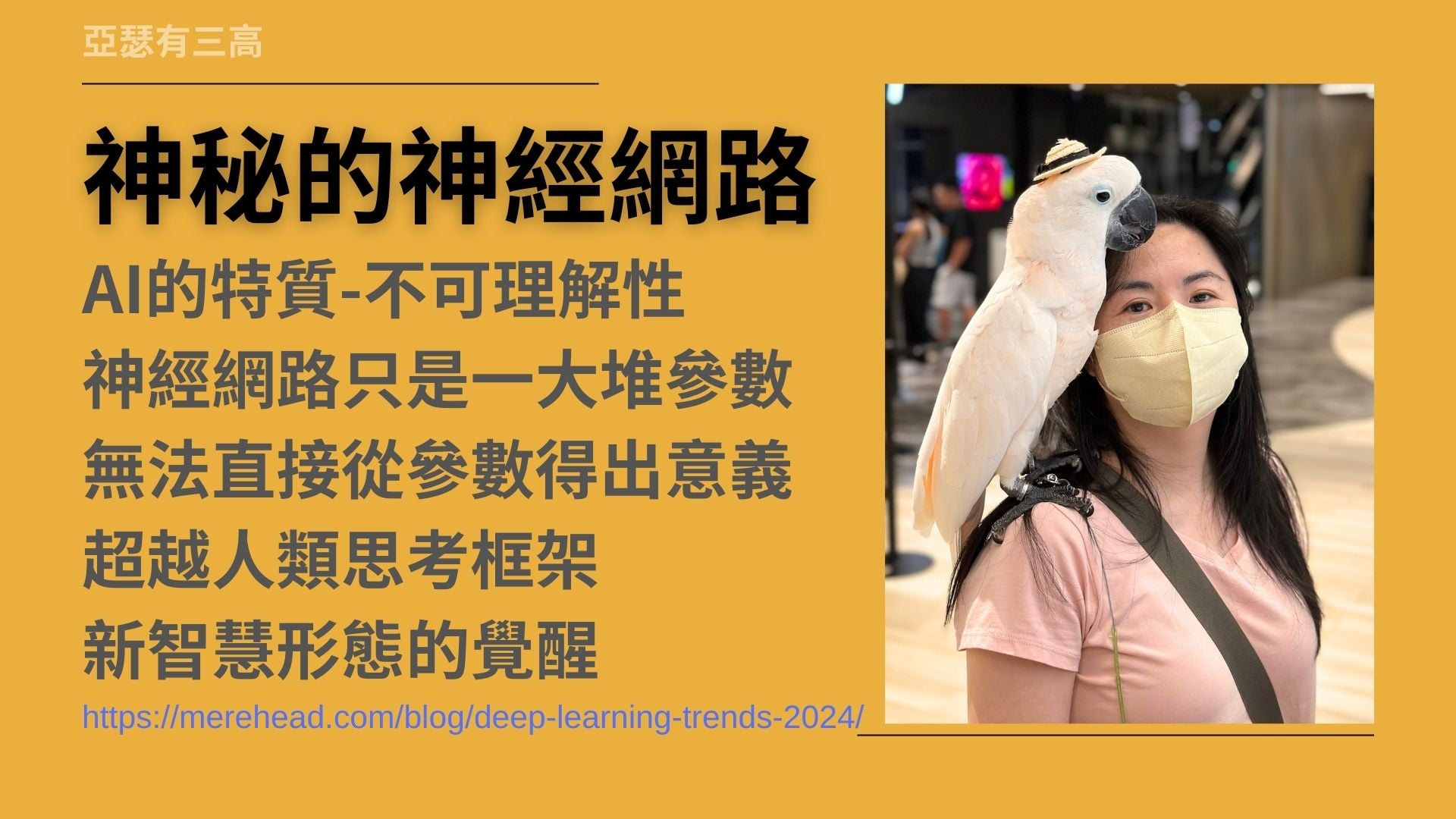 AI的哲學與不可知 拐點 大盤跳水上癮 20240909